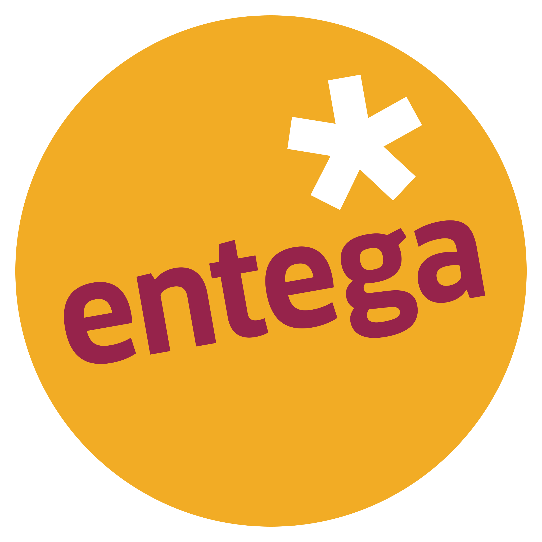 Logo Entega: Kunde / Referenz Johannes Paetzel